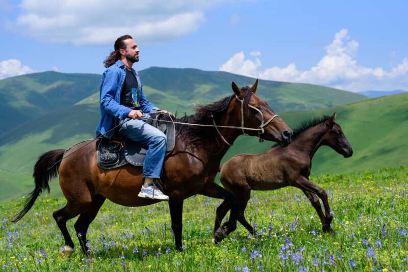 Horseback Adventure in Armenias Highland Pastures - Starting Point at Yerivar Guest House in Semyonovka