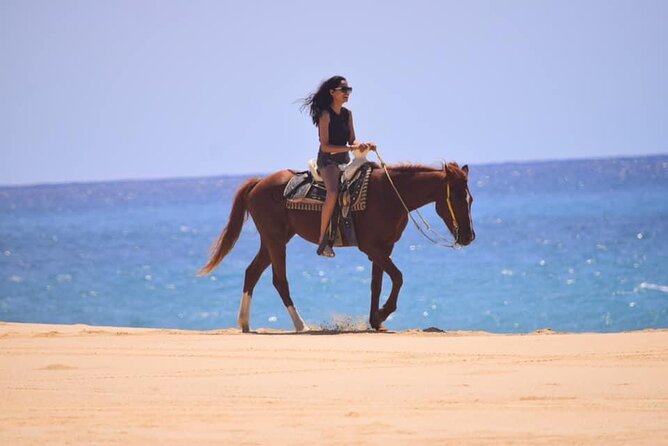 Horseback Adventures - Explore the Coastal Beauty of Migrino Beach on Horseback