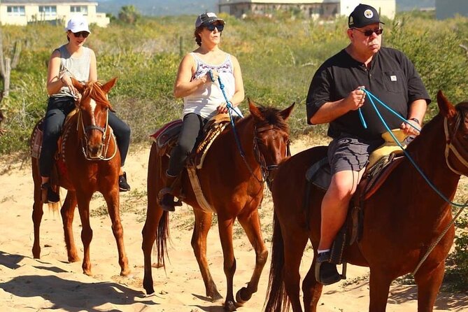 Horseback Adventures - What to Expect During the Horseback Riding Experience