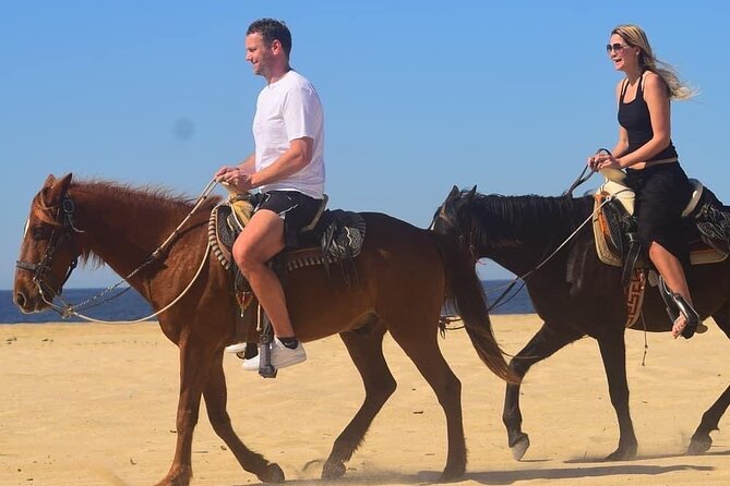 Horseback Adventures - The Highlights of Migrino Beach and the Surrounding Area