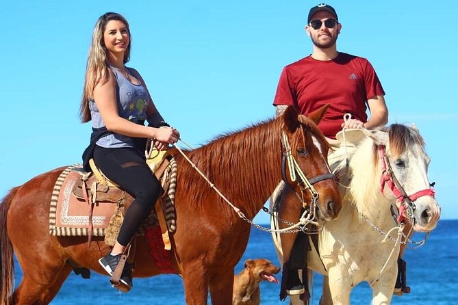 Horseback Adventures - Logistics and Practical Details for a Smooth Experience