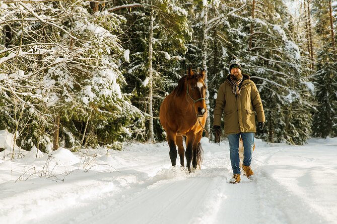 Horseback ride (1 hour) - The Instructors and Safety Measures