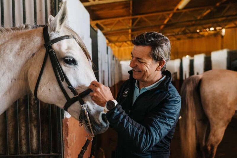 Horseback ride around Doñana National Park - Scenic Ride Through Olive Groves and Sunflower Fields