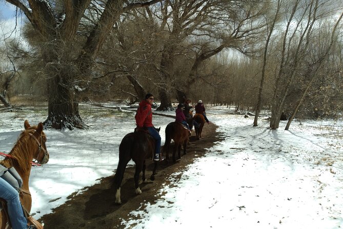 Horseback Ride for 2 or more - Meeting Points and Tour Schedule
