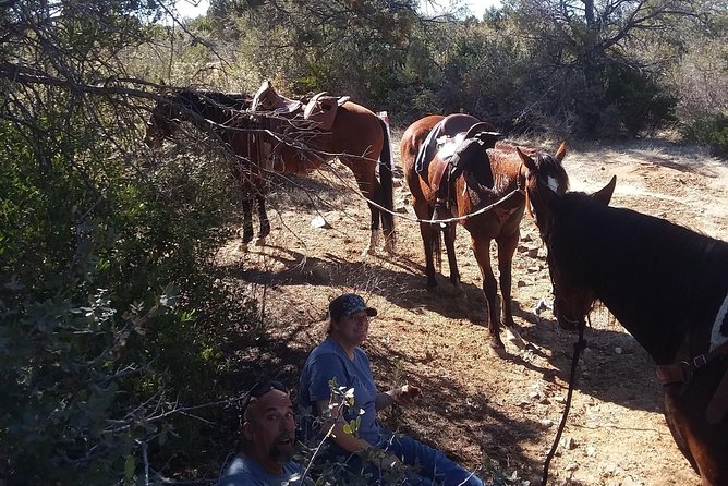Horseback Ride for 2 or more - Physical Requirements and Safety Considerations