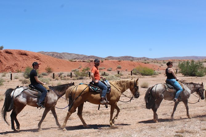 Horseback Ride in Las Vegas - Safety and Accessibility Features