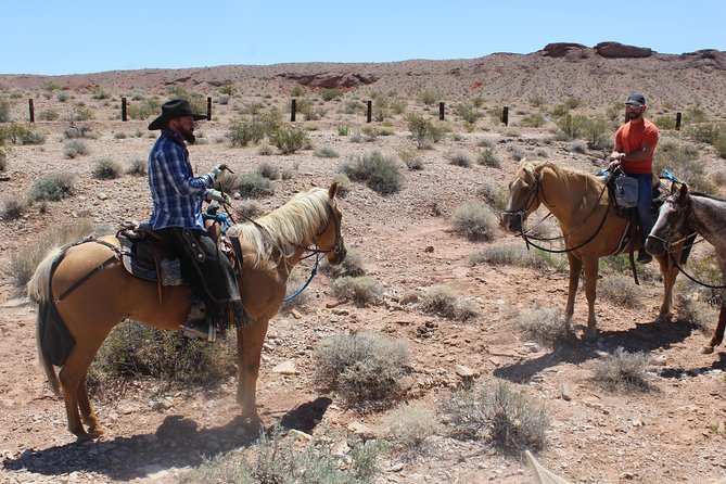 Horseback Ride in Las Vegas - Value for Money and Additional Offerings