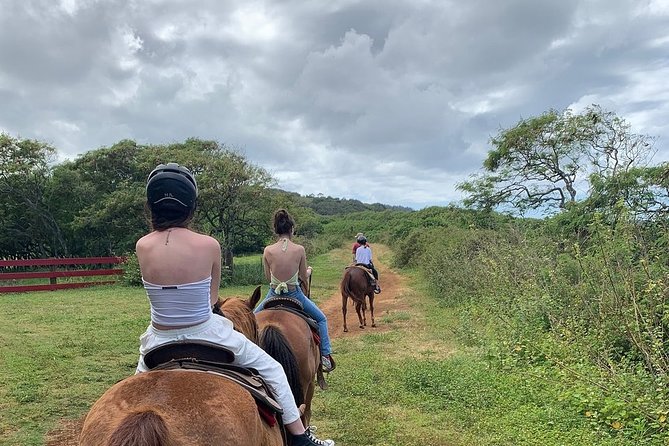 Horseback Ride Like an Authentic Paniolo in Kahuku - Booking Insights and Popularity