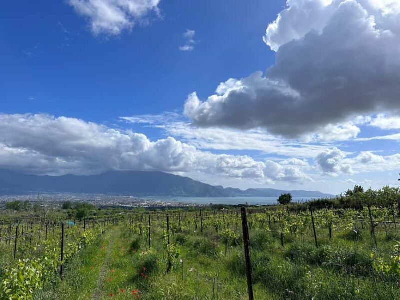 Horseback Ride on Mt. Vesuvius - Discover the Horseback Ride on Mount Vesuvius