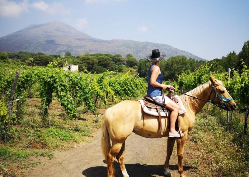 Horseback Ride on Mt. Vesuvius - Final Thoughts on the Mount Vesuvius Horseback Tour