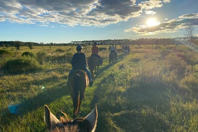 Horseback Ride on Scenic Lake Louisa Trails - Discover Lake Louisa State Park on Horseback for an Uncrowded Nature Escape