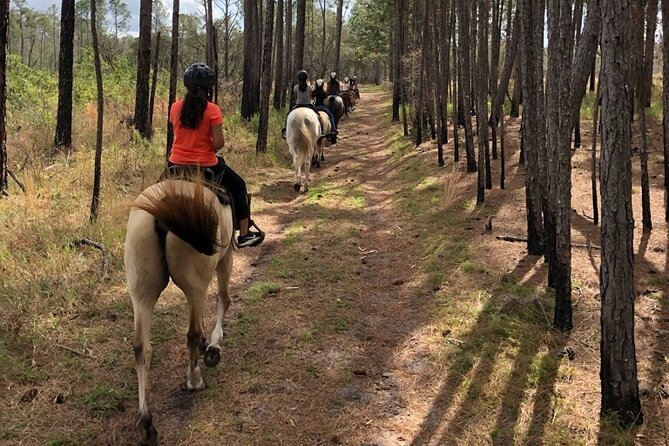 Horseback Ride on Scenic Lake Louisa Trails - Key Points