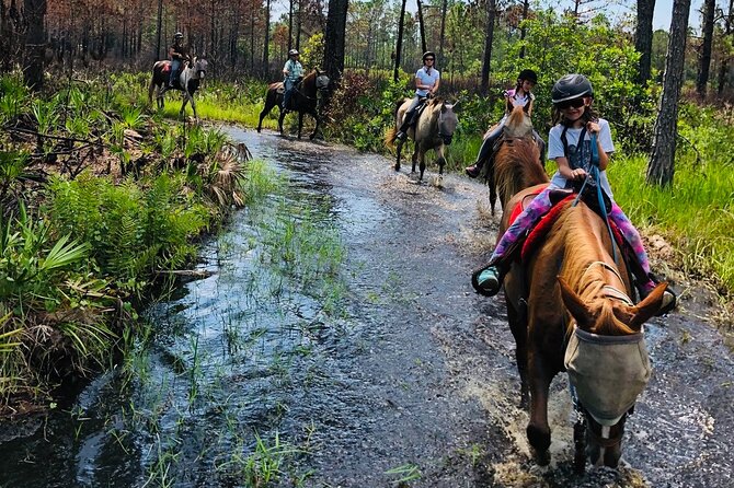 Horseback Ride on Scenic Lake Louisa Trails - Accessibility and Physical Requirements