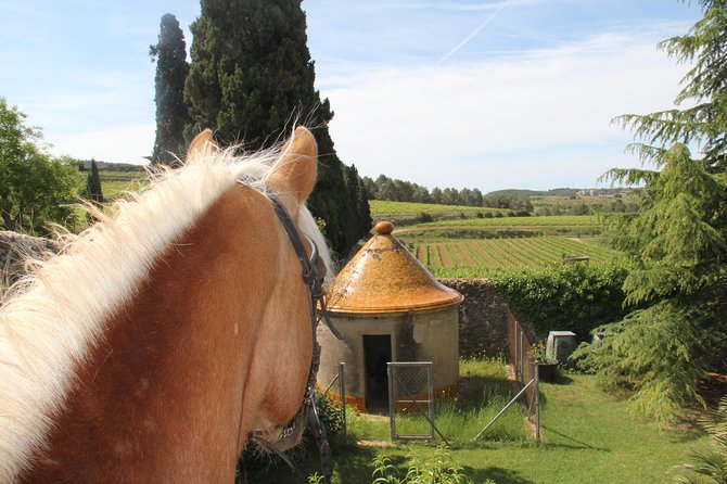 Horseback Ride, Penedes, Wine Tasting & Tapas Private Tour - Convenient Pickup and Private Experience