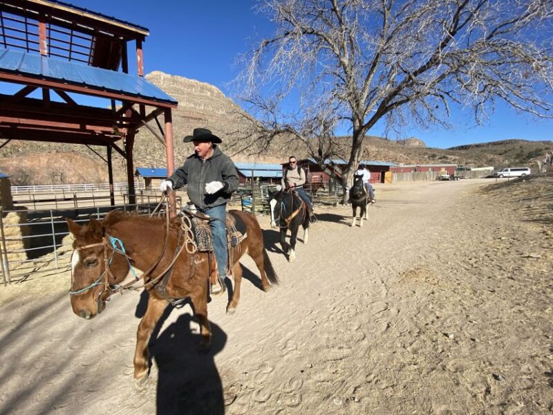 Horseback Ride thru Joshua Tree Forest with Buffalo & Lunch - Joshua Tree Forest and Buffalo Viewing in Arizona