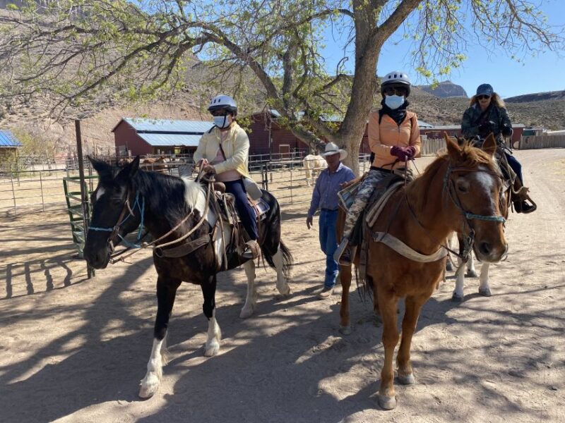 Horseback Ride thru Joshua Tree Forest with Buffalo & Lunch - Final Thoughts on the Joshua Tree Horseback Ride with Buffalo & Lunch