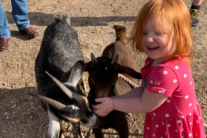 Horseback Rides, Interactions, and Petting Zoo - Booking and Cancellation Policies