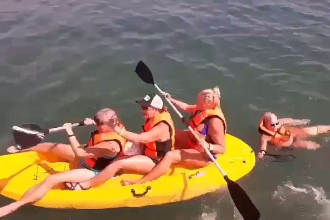 HorseBack Rides On the Beach - Review Highlights and Notable Feedback