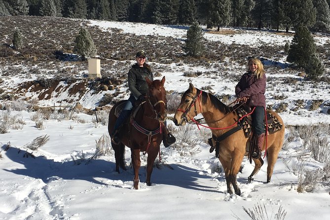Horseback Riding Adventure from Reno - How the Tour Handles Weather and Cancellations