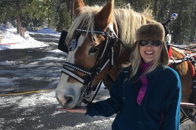 Horseback Riding Adventure from Reno - Final Thoughts: Authentic Nevada Experience with Guided Comfort