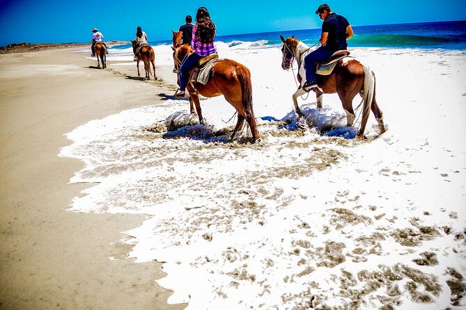 Horseback Riding Adventure in Playa Migriño with Tequila Tasting - Respecting the Weather and Cancellation Policies
