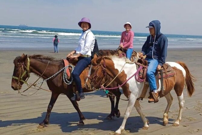 Horseback Riding And a Visit to La Bufadora Ensenada - The Horseback Riding Experience: Connection with Nature