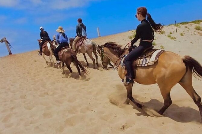 Horseback Riding And a Visit to La Bufadora Ensenada - Who Will Enjoy This Tour Most
