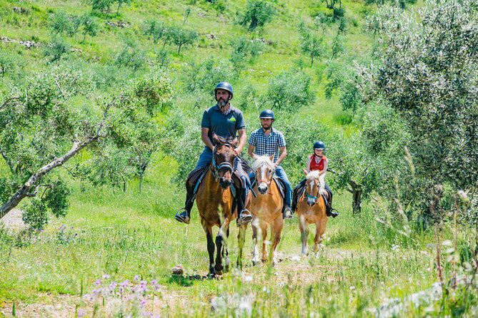 Horseback riding and aperitif 2 hours for beginners - Starting Point at Centro Ippico La Cartuja in Calci