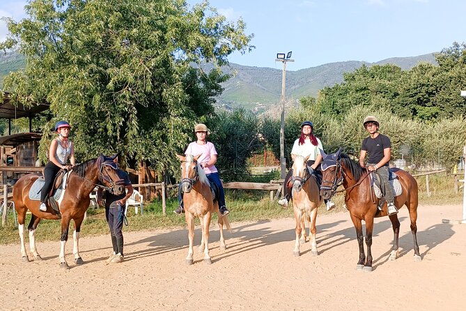 Horseback riding and aperitif 2 hours for beginners - Managing Horses Independently by the End of the Ride