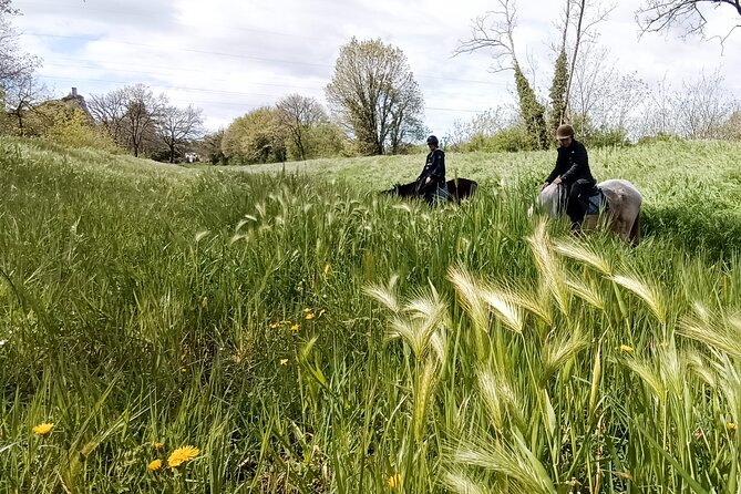 Horseback riding and aperitif 2 hours for beginners - Practical Details: What to Wear and Bring