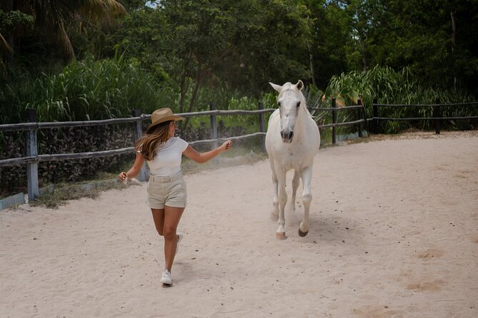 Horseback Riding and Cenote Swim from Cancun or Playa del Carmen - Meeting and Greeting at Rancho Bonanza