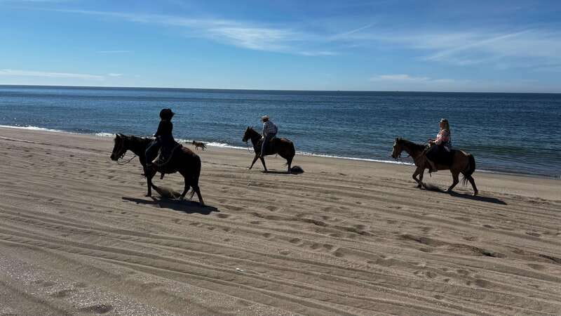 Horseback riding and Temazcal combo with lunch and mezcal - Key Points