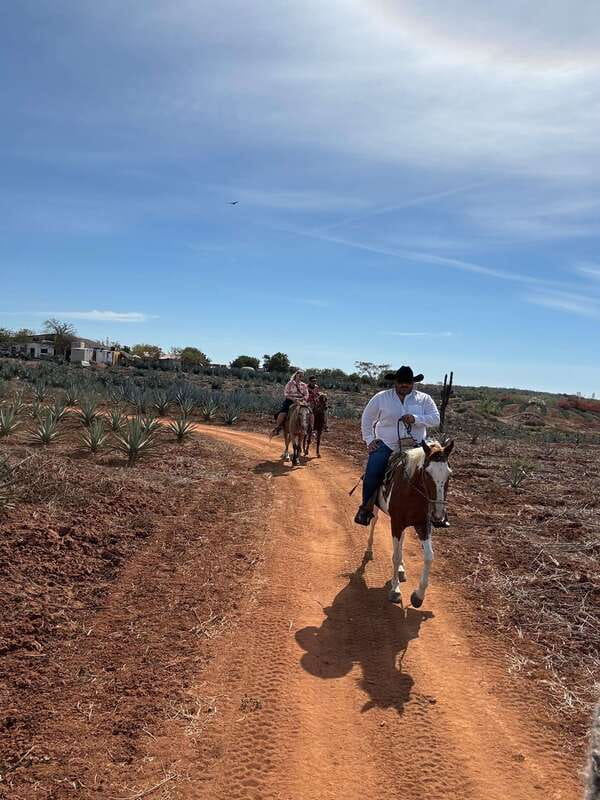 Horseback riding and Temazcal combo with lunch and mezcal - Horseback Riding on the Beach and Agave Plantations