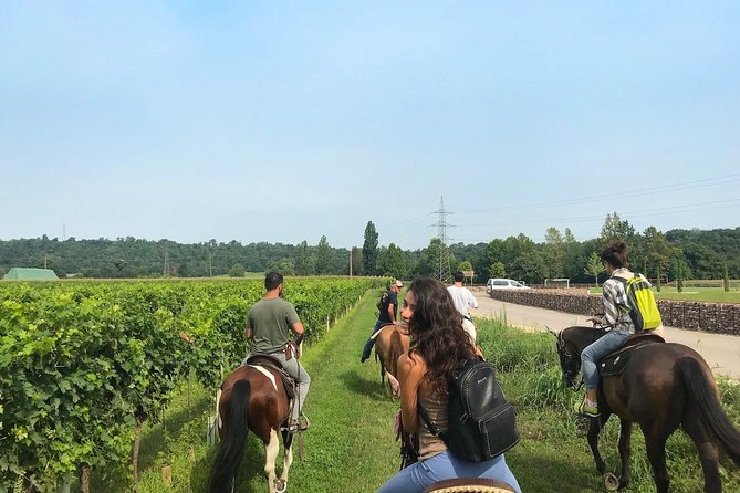 Horseback riding and wine tasting - Discover Verona’s Countryside with Horseback Riding and Wine Tasting