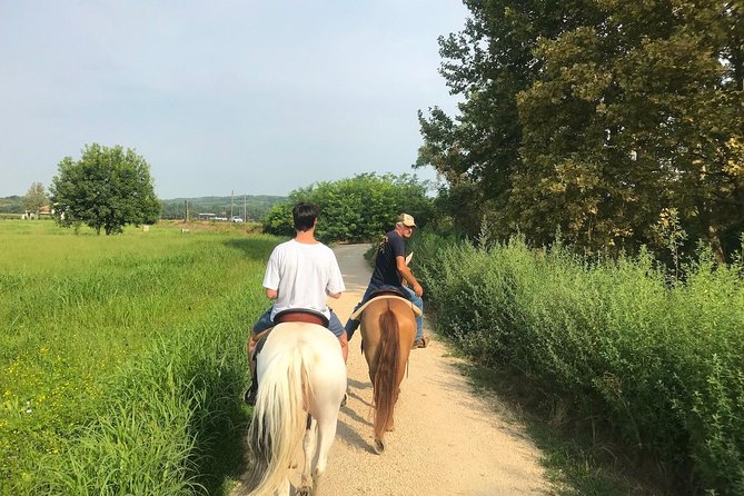 Horseback riding and wine tasting - Key Points