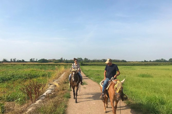 Horseback riding and wine tasting - Verona’s Countryside – A Blend of Nature and Flavor