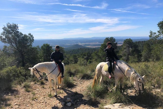 Horseback riding and wine tour (private tour) - Discover Valencia’s Unique Horseback Riding and Wine Tasting Experience