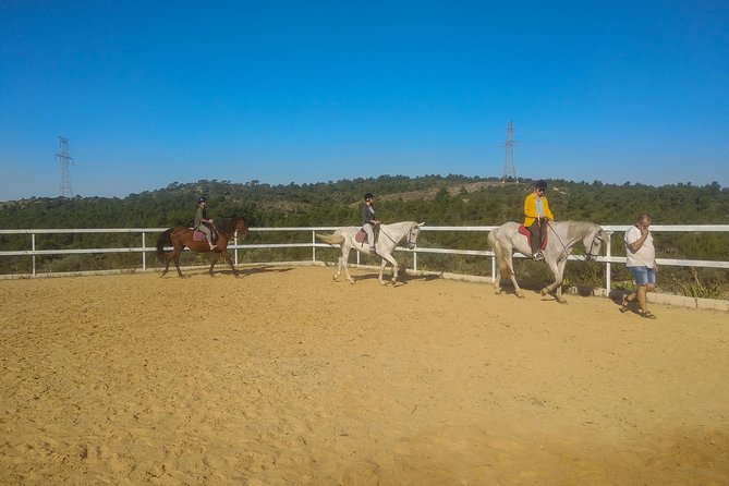 Horseback riding and wine tour (private tour) - Wine Tasting at the Utiel-Requena Winery