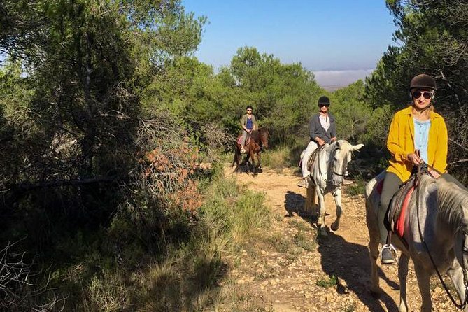 Horseback riding and wine tour (private tour) - Booking and Price Value