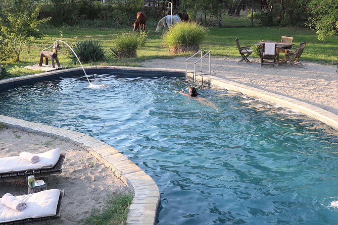 Horseback Riding and yurt stay in the Puszta, 1 hour morning ride - Key Points
