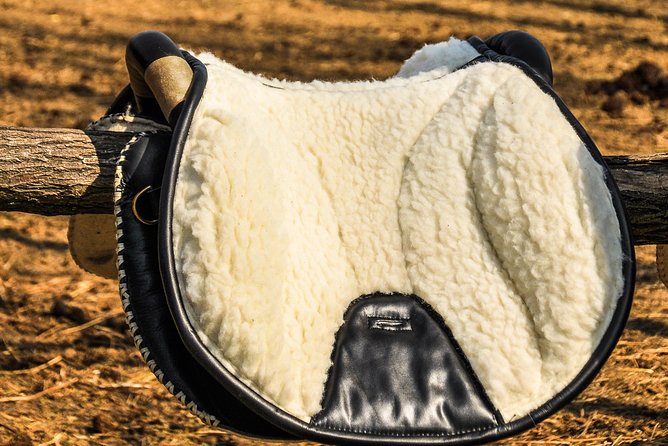 Horseback Riding and yurt stay in the Puszta, 1 hour morning ride - Start in the Heart of the Hungarian Puszta at Homoki AsztalRuzsa