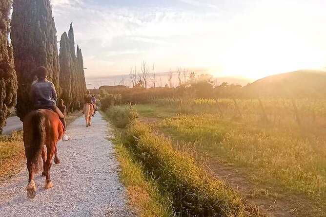 Horseback riding at sunset 1 hour at the Certosa di Pisa - Photos and Memories of the Experience