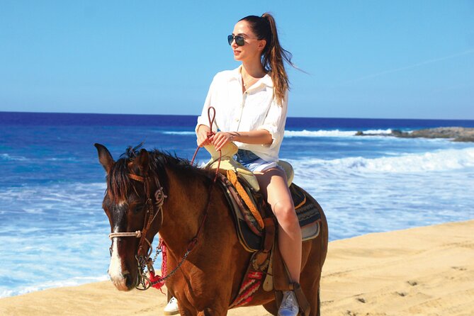 Horseback Riding Beach and Desert Adventure - Explore Cabo San Lucas on Horseback for $99