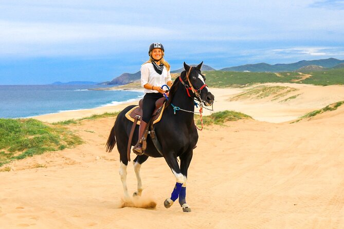 Horseback Riding Beach and Desert in Cabo by Cactus Tours Park - Key Points