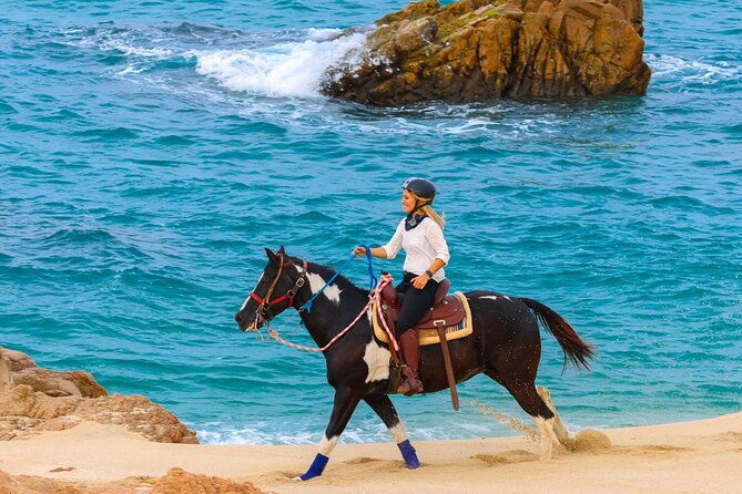 Horseback Riding Beach and Desert in Cabo by Cactus Tours Park - Scenic Views of Cabo’s Pacific Coast