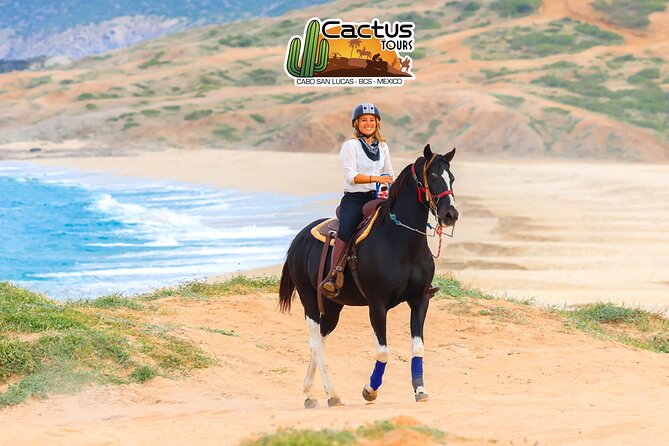 Horseback Riding Beach and Desert in Cabo by Cactus Tours Park - The Horses and Guide Expertise