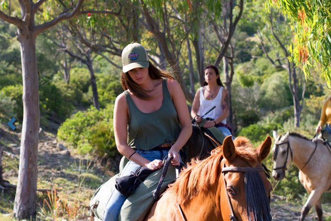 Horseback Riding by the beach or mountain in Tarifa, Spain - 1 to 2 hrs - Safety and Comfort: Helmets and Small Groups