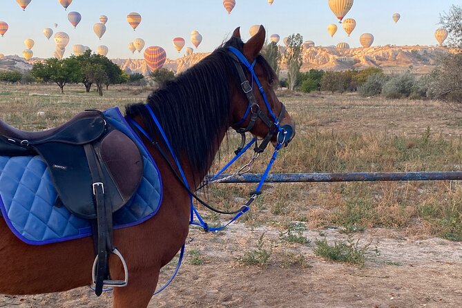Horseback Riding Experience Cappadocia - Flexibility, Safety, and Experience