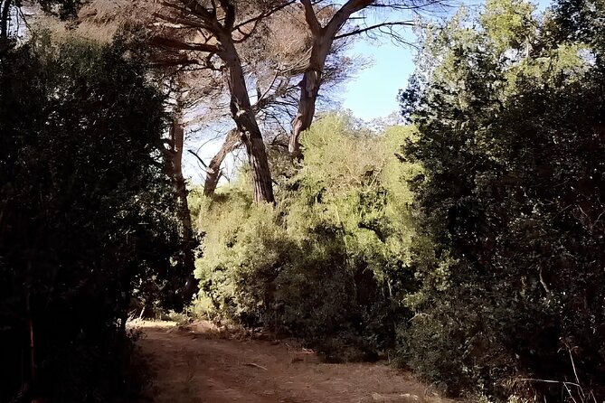 Horseback Riding Experience in Castel Fusano near Rome - Weather Conditions and Cancellation Policy