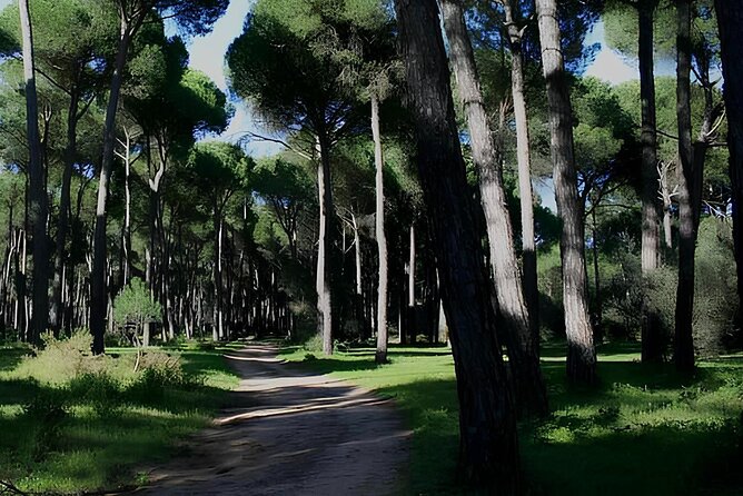 Horseback Riding Experience in Castel Fusano near Rome - Comparing This Tour to Other Rome Activities